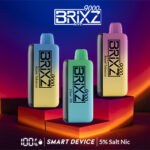 Brixz  2 Product