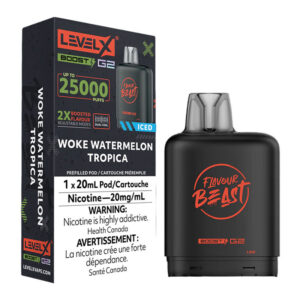 FLAVOUR BEAST LEVEL X BOOST - 6PC