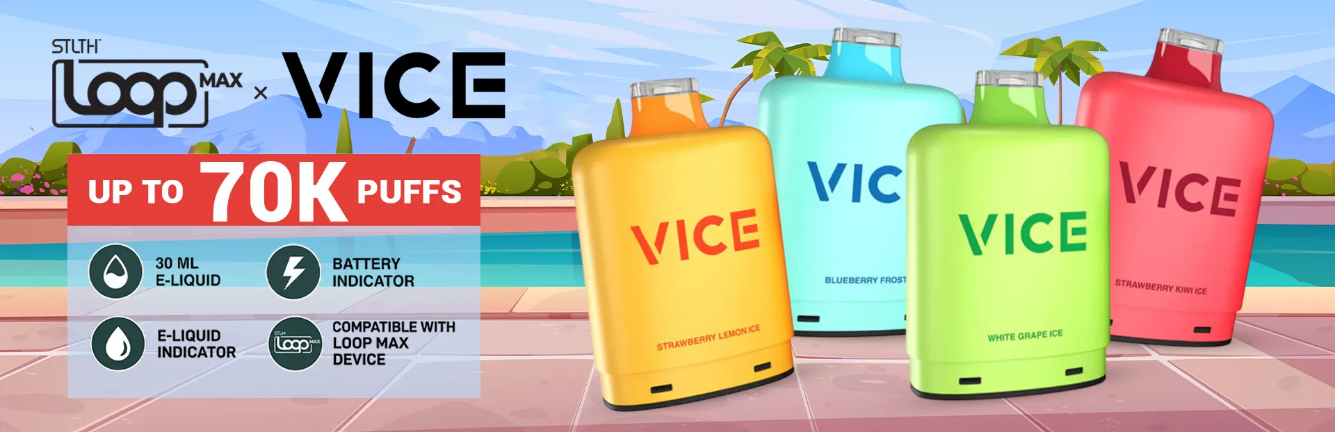 loop-max-vice