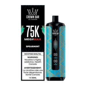 AL FAKHER MEGA MAX 75K - SPEARMINT