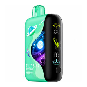 ELFBAR FS70K - MIAMI MINT