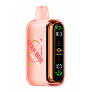 GEEK BAR PULSE 2 DISPOSABLE - JUICY PEACH ICE (4PCS/CTN) [ON] - 20MG / 20ML