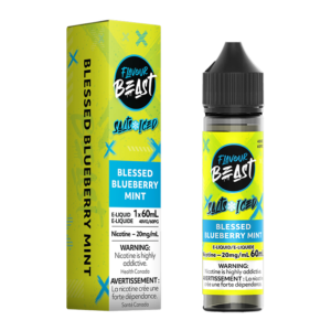FLAVOUR BEAST E-LIQUID - BLESSED BLUEBERRY MINT 20MG/60ML [ONTARIO] - 827152176120